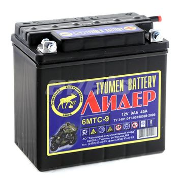 Tyumen Battery 6мтс-9 сух. 12N9-3B